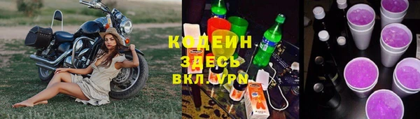прущие грибы Арсеньев