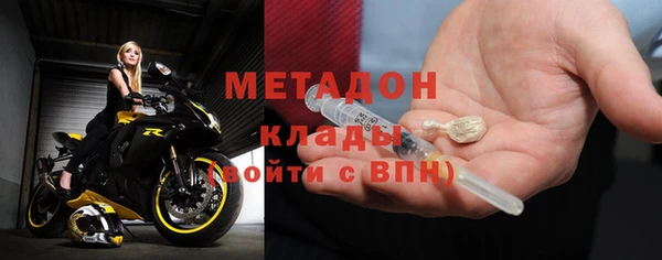 прущие грибы Арсеньев