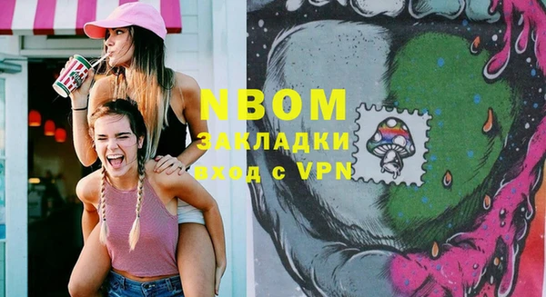 прущие грибы Арсеньев