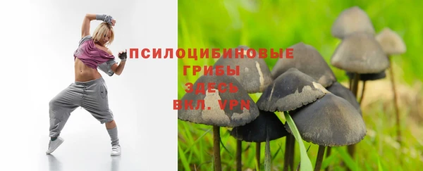 дурь Армянск