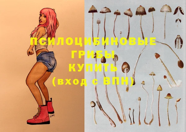 дурь Армянск